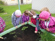 Zahradničíme ve školce